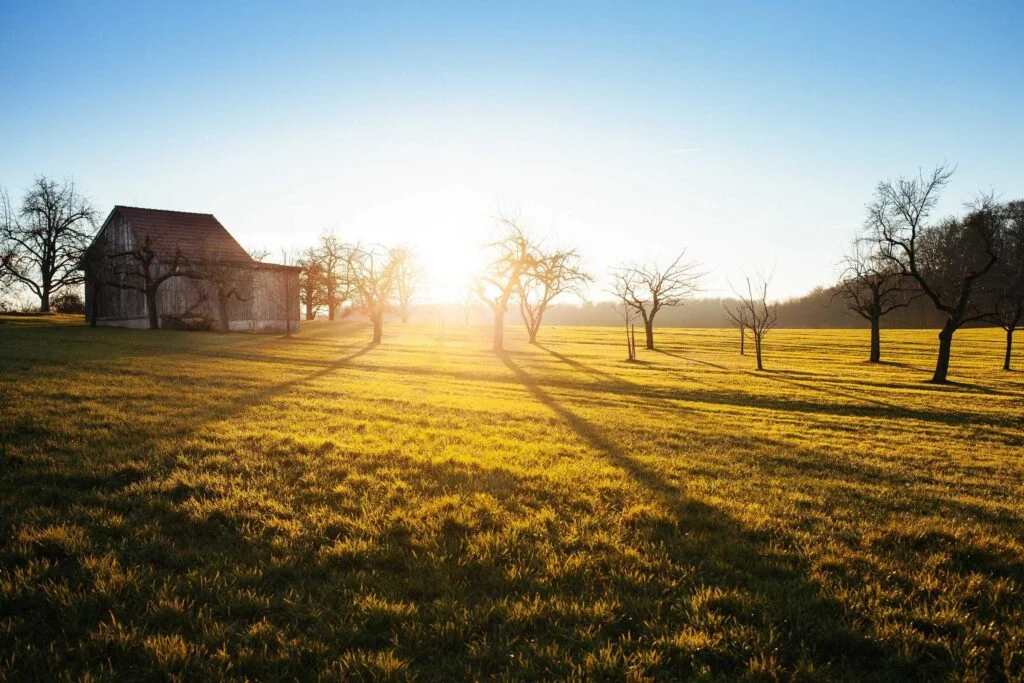 Eine alte Scheune in einer sonnenbeschienenen Landschaft mit Bäumen und weitem Feld.